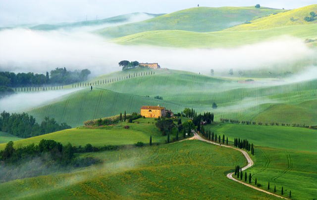 絵本のような絶景 イタリア トスカーナのイトスギの木 Windows10