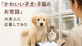 ブリーダーの求人「子犬・子猫のお世話」に応募してみた。
